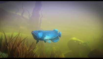 Feed and Grow: Fish 1